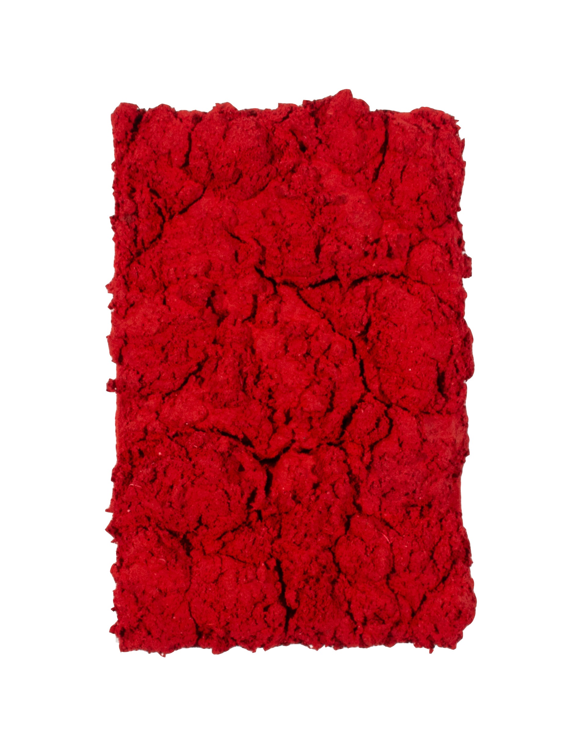 Untitled | Artworks | Art Collaboration Kyoto