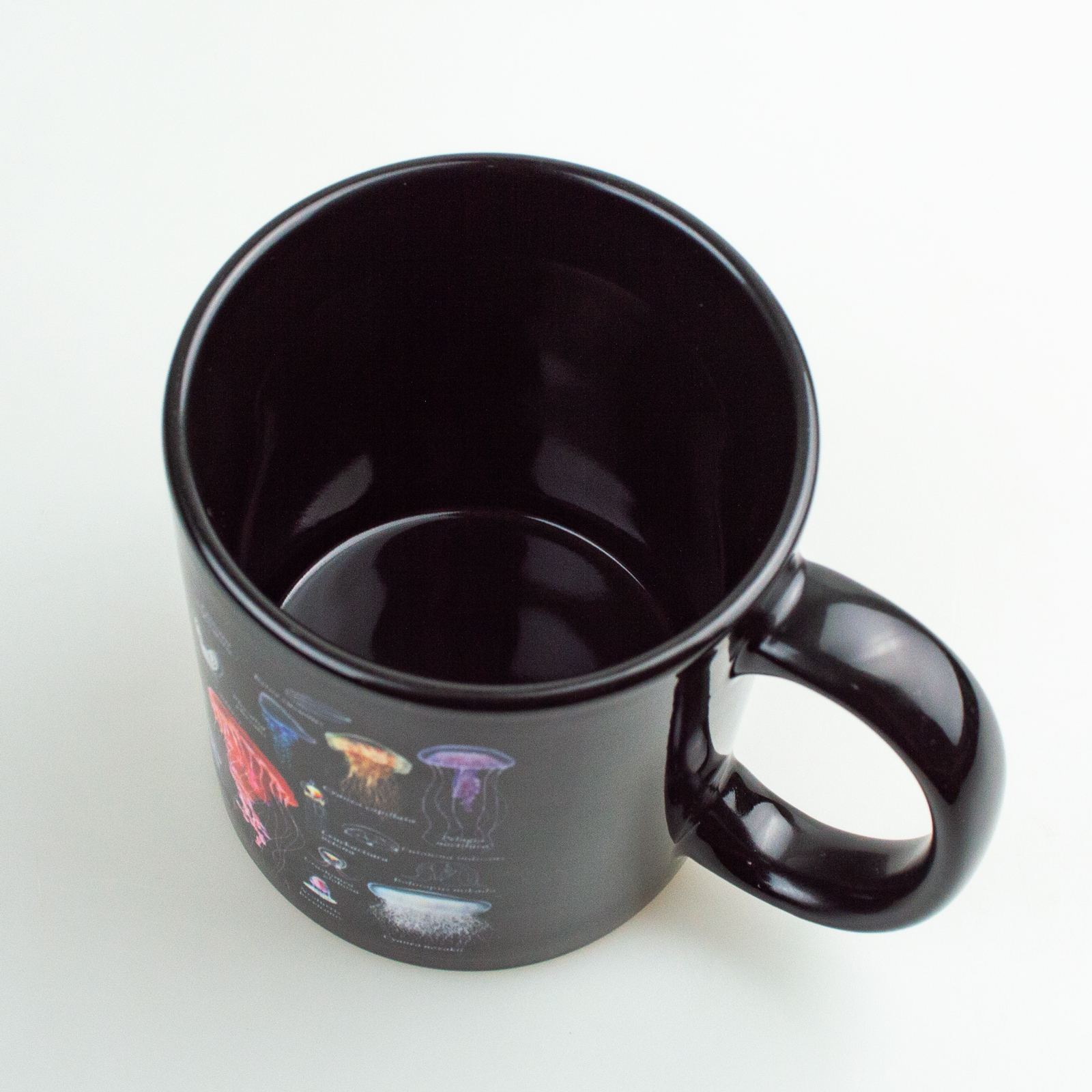 大全マグカップ：海月大全 – 株式会社ザ・アクセス-TheACCESS-