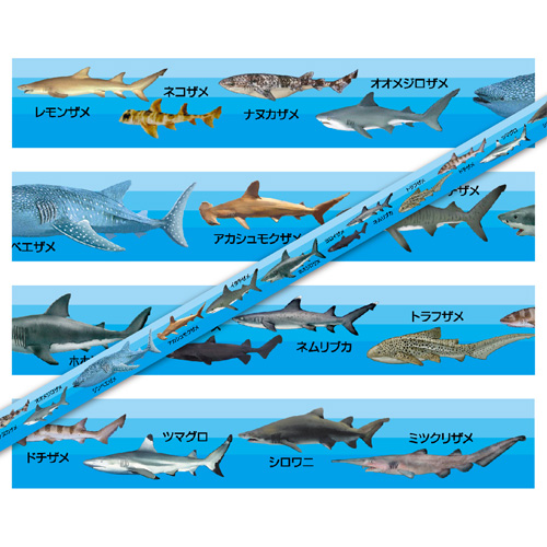 マスキングテープ：M003：鮫大全 – 株式会社ザ・アクセス-TheACCESS-