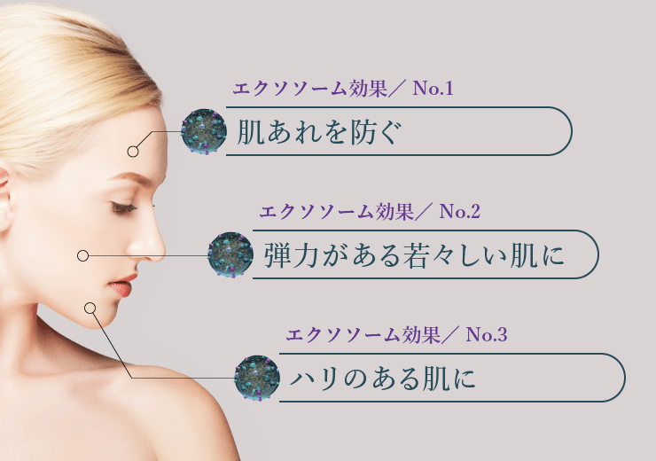 通販】exo PARTICLE エクソパーティクル エクソソーム ｜ ACE CLINIC