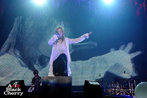 Acid Black Cherry｜10th Anniversary Special web site