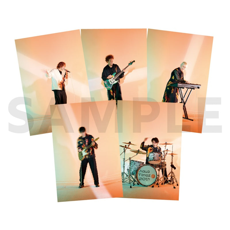 美品 ルナパパDVDパンフレット、フライヤー、ポストカードセット