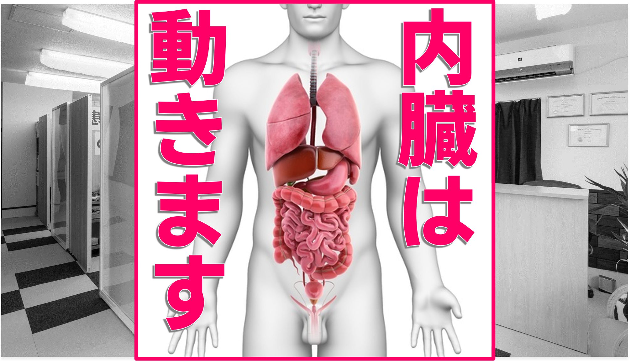 内臓マニピュレーション | 大阪府河内長野市の鍼灸院・整骨院・整体院