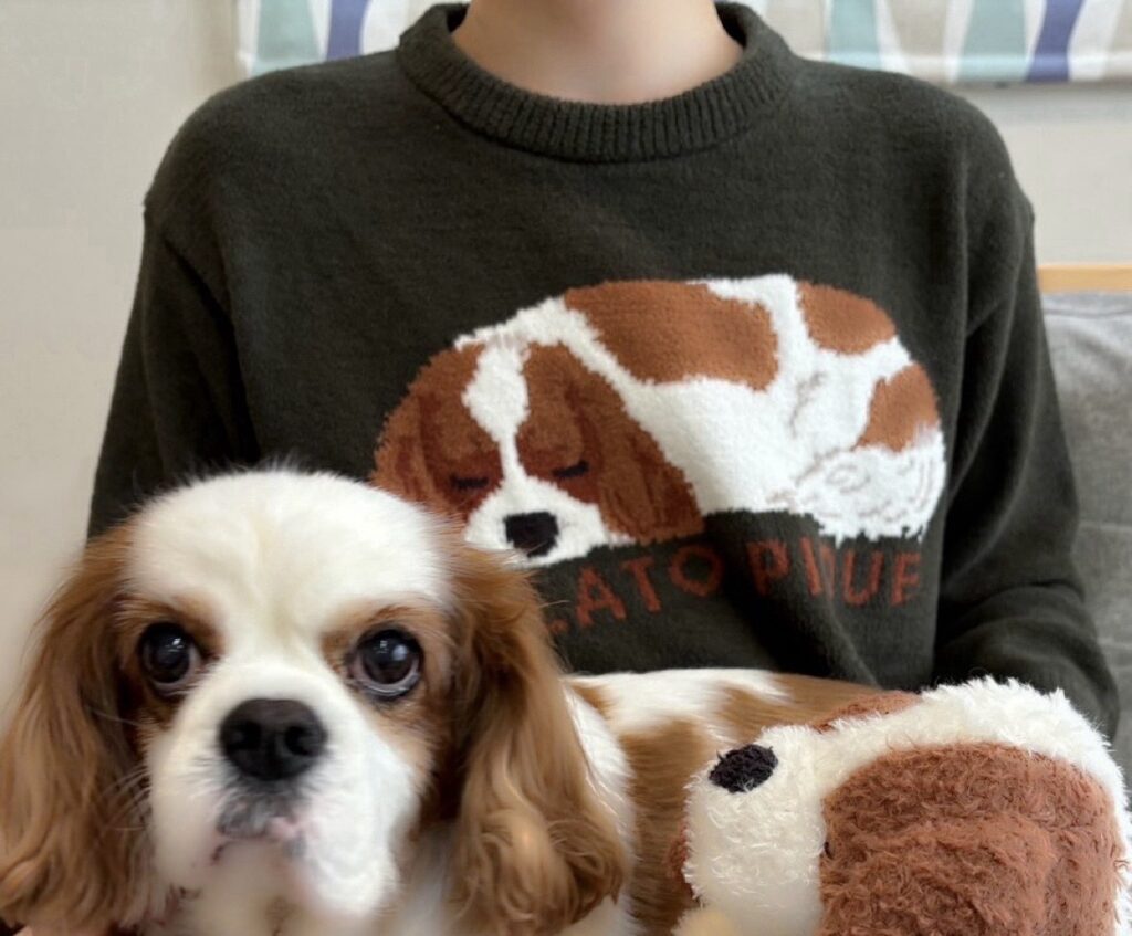 キャバリアグッズ】ジェラート ピケ スリーピングドッグ – キャバリア