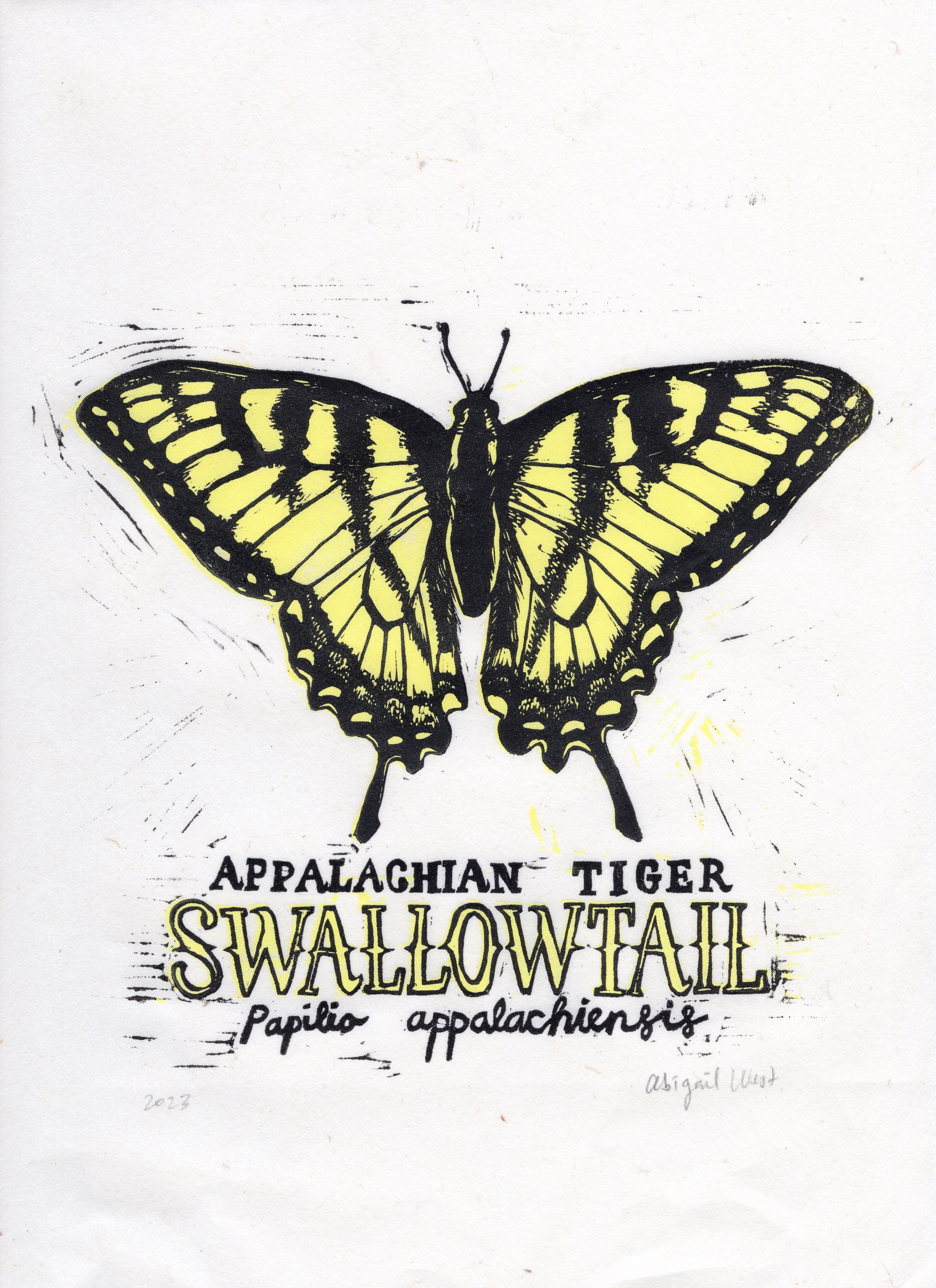 apptiger_swallowtail.jpg?v=