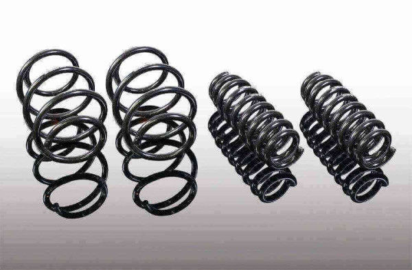 AC Schnitzer suspension spring kit for BMW 3-series G21 touring