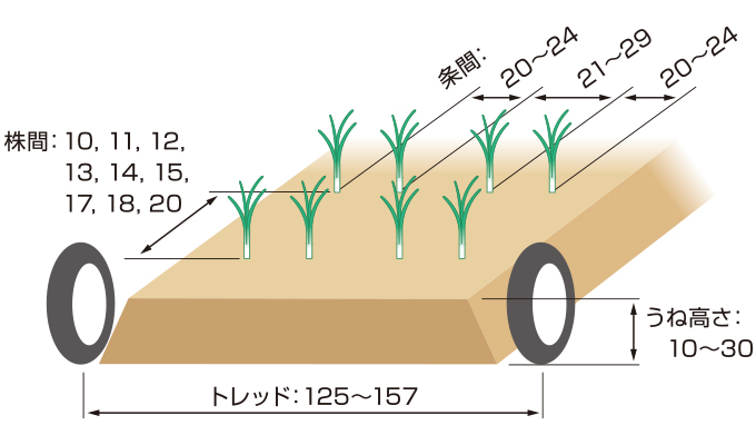 KP-403T｜たまねぎ移植機｜野菜関連機器｜製品情報｜農業