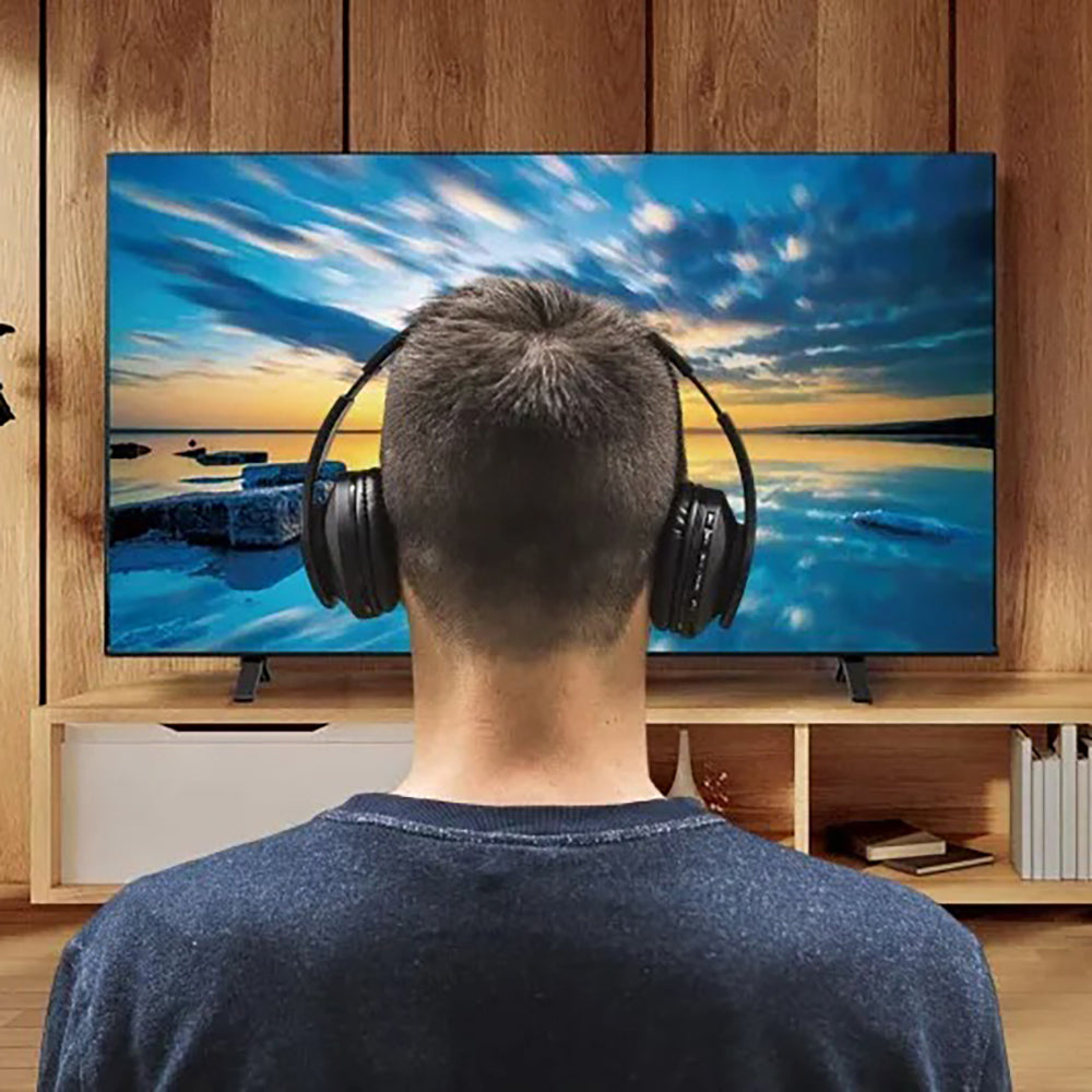 4K液晶レグザ C350M Professional series 65v型 – AOYAMA GIFT SALON