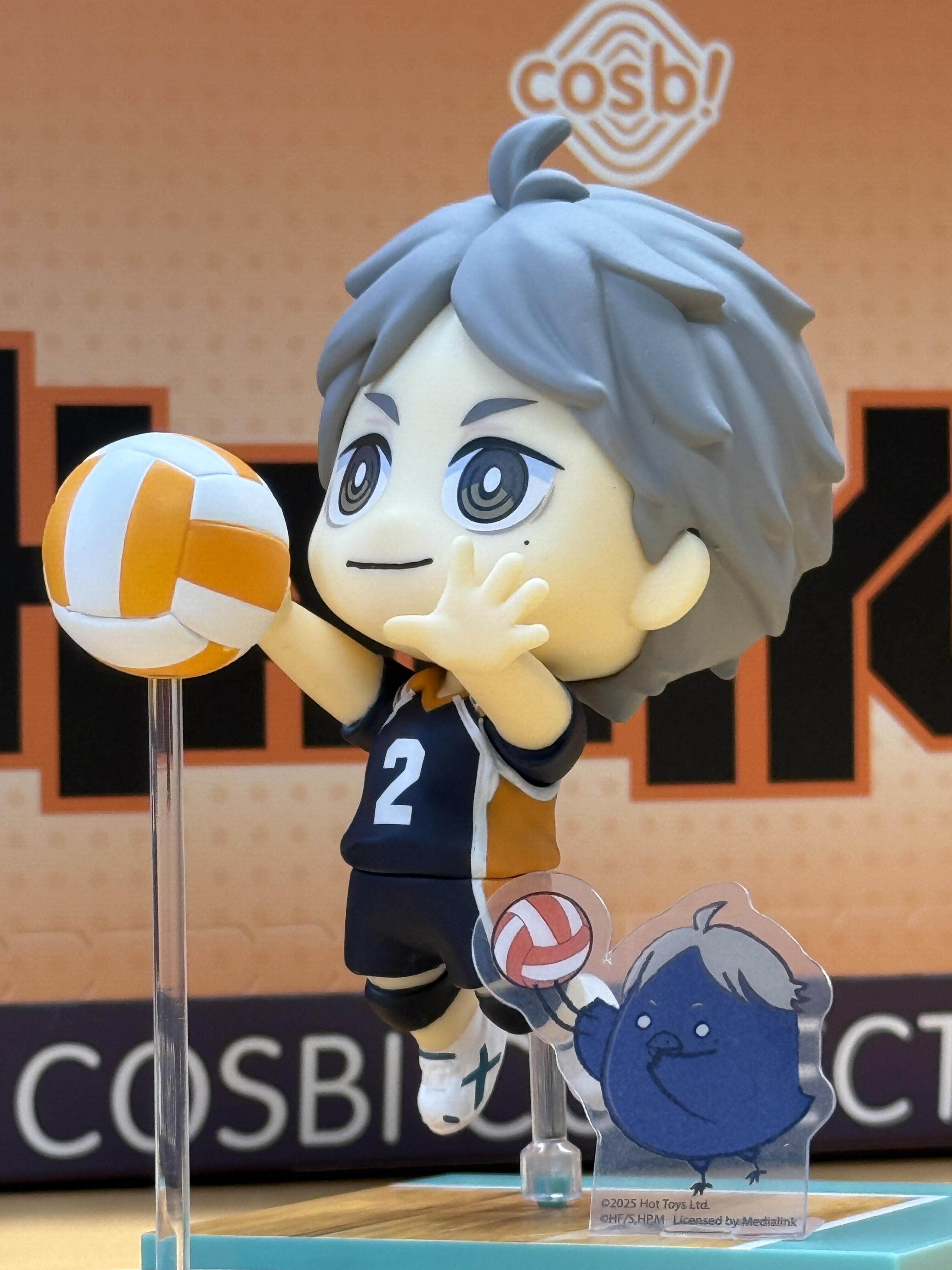 公式ホットトイズ ハイキュー!! Cosbi コレクションブラインドボックス