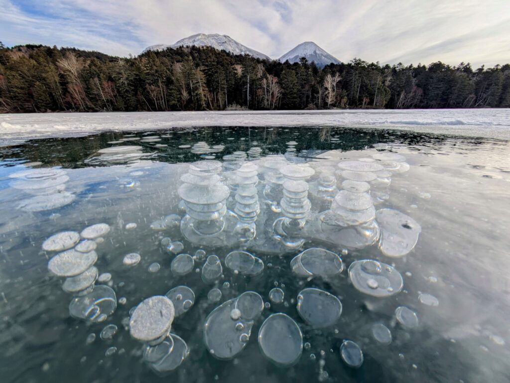 2025年冬期ガイドプログラムが無事に終了いたしました | 阿寒自然