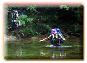 想い出の源流紀行7 初めての八久和川