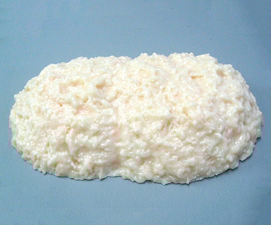 8-3742-13 脂肪模型3kg SI-030 【AXEL】 アズワン