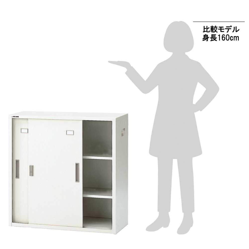 3-035-18 耐薬引違保管庫 スチール戸 880×400×880mm N-90D・OW 【AXEL