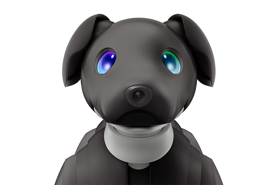aibo エスプレッソ エディション | aibo