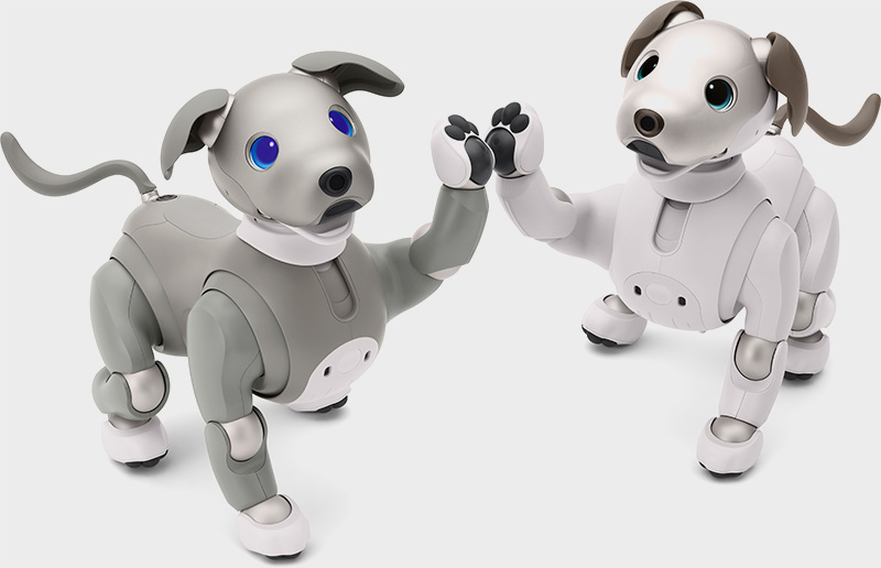 aibo 黒ごま エディション | aibo