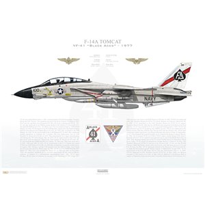 Aircraft profile print of F-14A Tomcat VF-41 Black Aces, AJ100
