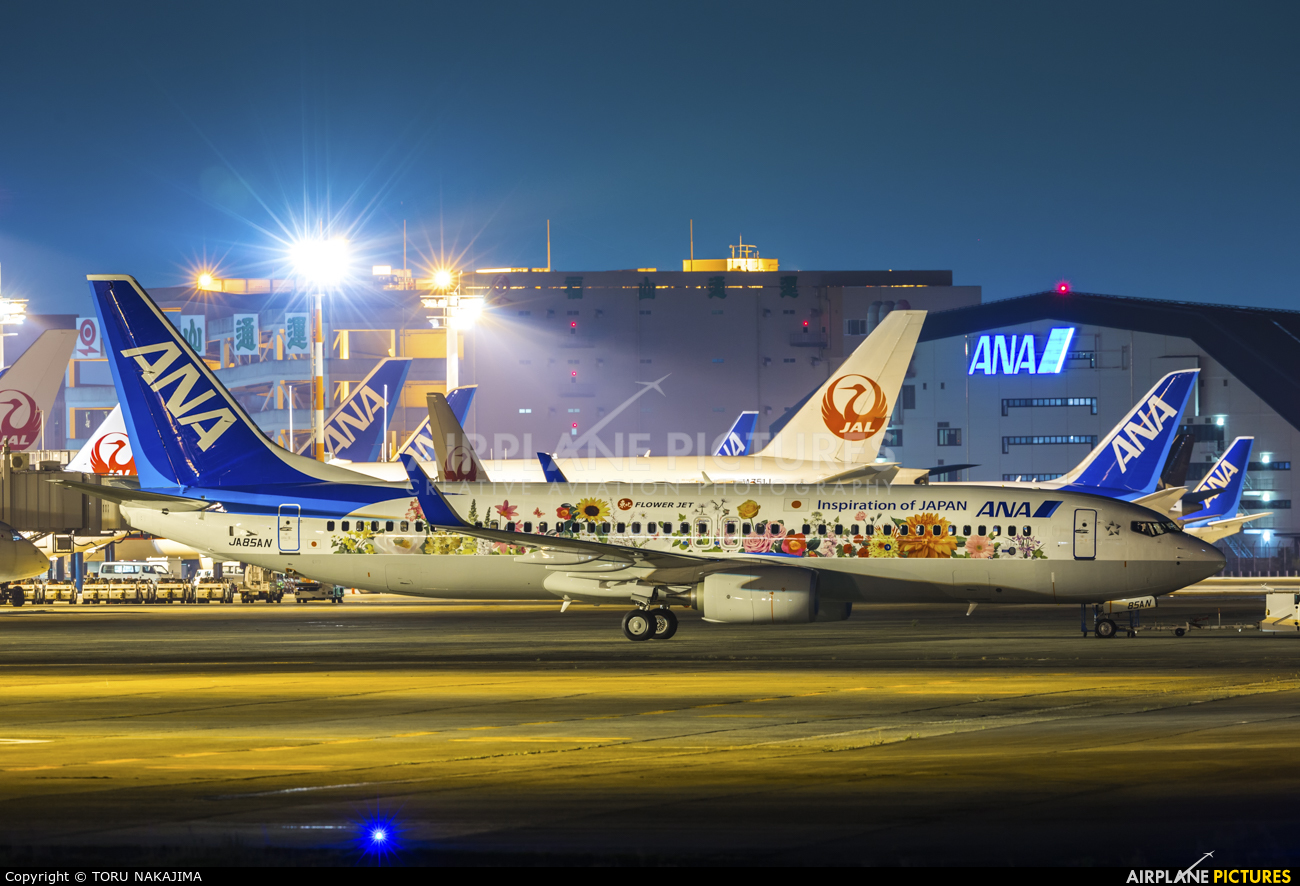 ANA - All Nippon Airways Boeing 737-800 JA85AN at Osaka - Itami