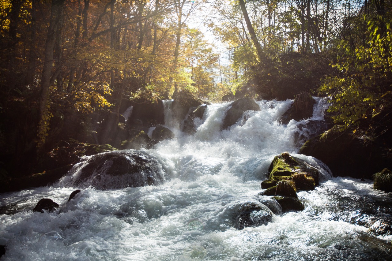 奥入瀬渓流｜スポット・体験｜【公式】青森県観光情報サイト Amazing