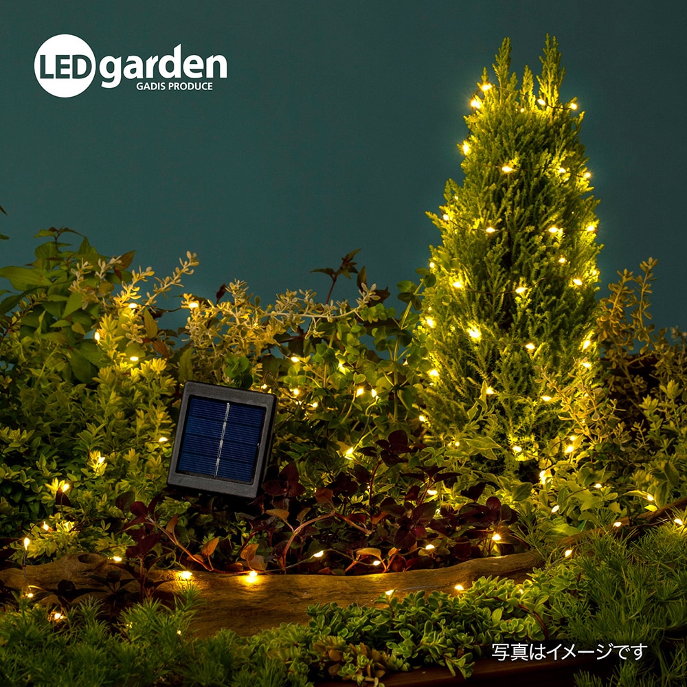 フェアリーストリングスライト 120球 シャンパンゴールド /A