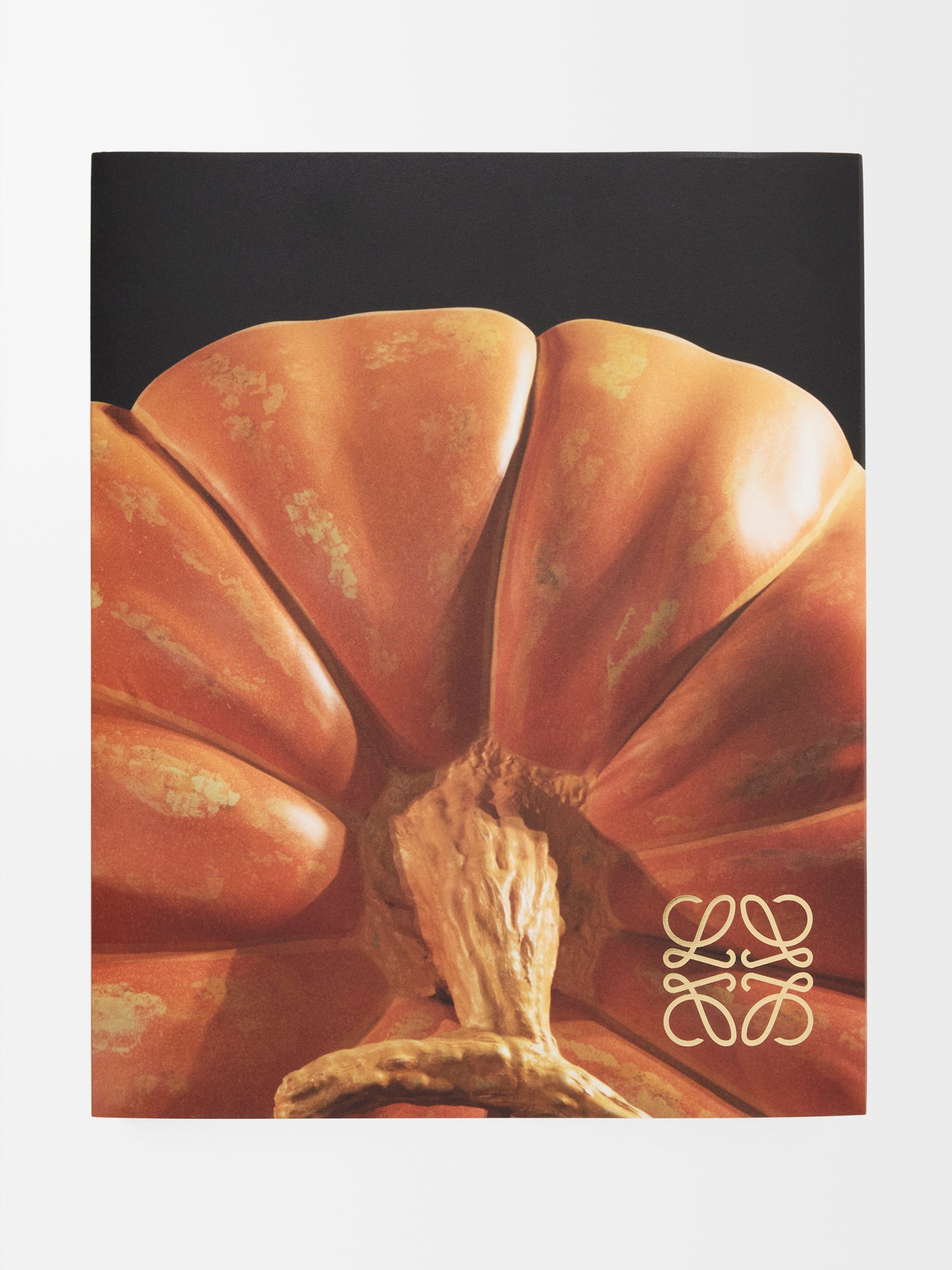 CRAFTED WORLD: JONATHAN ANDERSON'S LOEWE』 – 青山ブックセンター本店