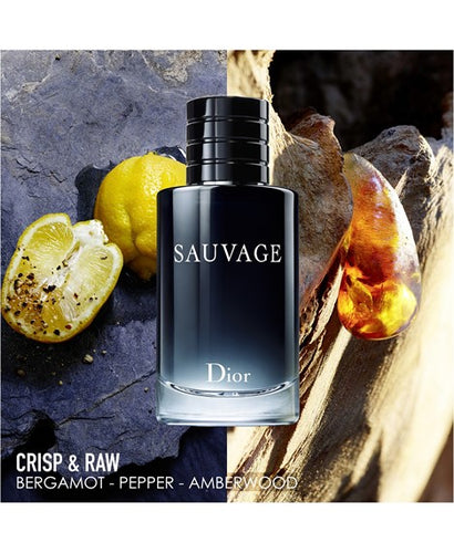 Sauvage For Men Edt 3.4oz Spray – Alberto Cortes Cosmetics and