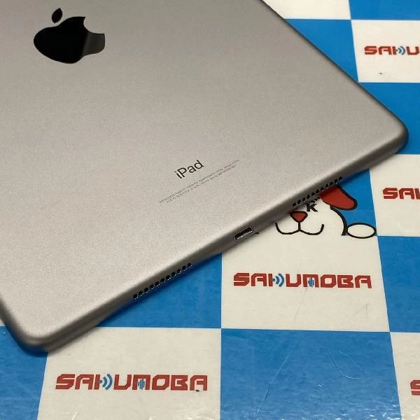 iPad Pro 10.5インチ docomo版SIMフリー 64GB MQEY2J/A A1709 スペース