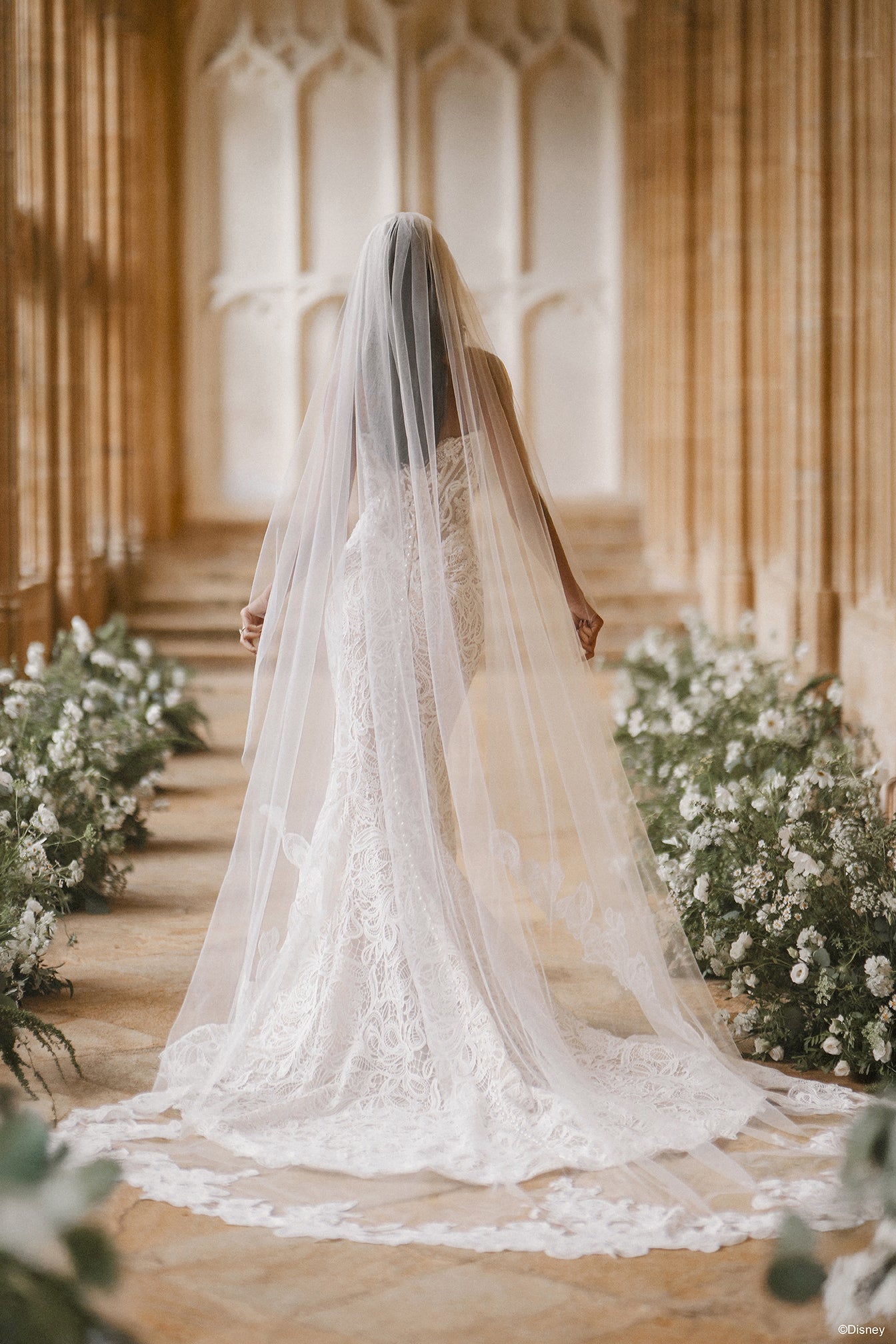 DV54 | Jasmine Veil | Disney Princess Wedding Dresses