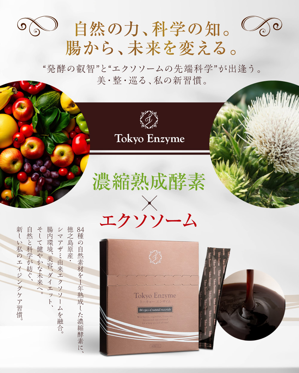 トーキョーエンザイム 全商品 アルメール事業部