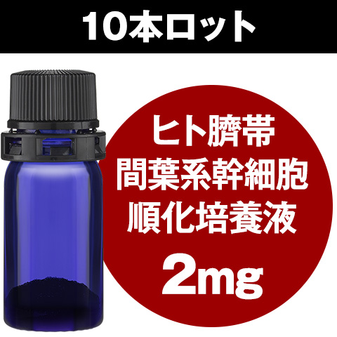 ヒト臍帯間葉系幹細胞順化培養液（2mgフリーズドライ）10本セット 全