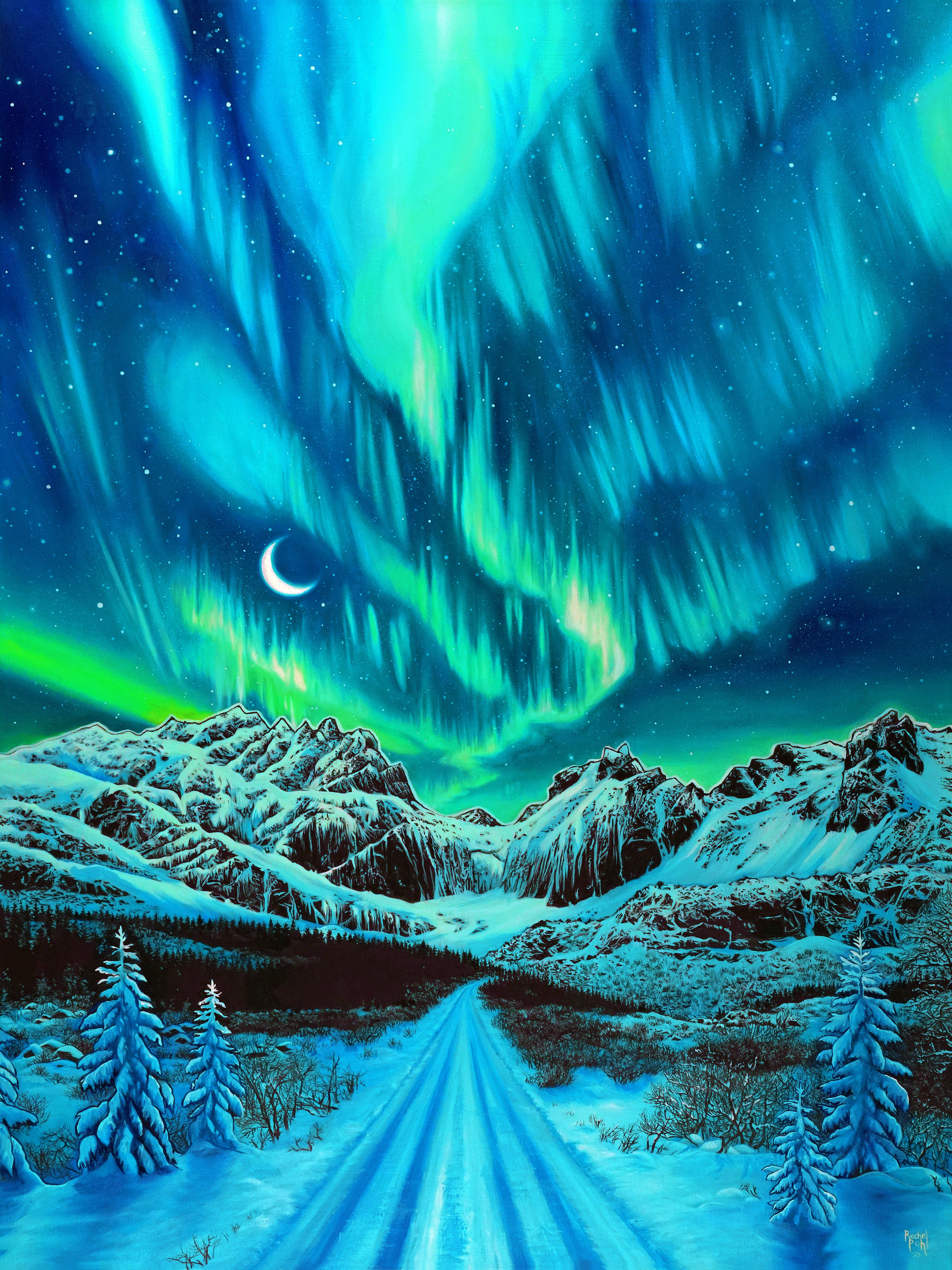 Midnight Aurora – Altitude Gallery