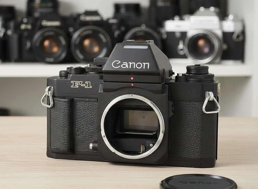 2025年最新】フィルム写真家厳選！フィルム一眼向けおすすめ神オールド