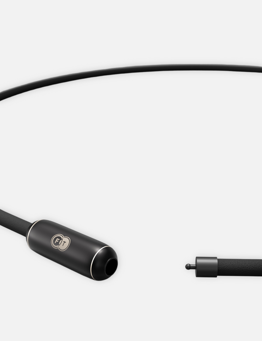 FT™︎ TUNING NECKLACE TITANIUM（チューニングネックレス・チタニウム