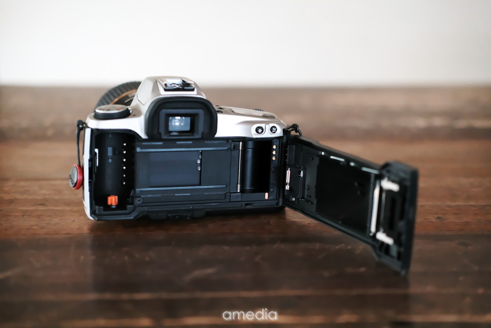 作例とレビュー】フィルムのNewEOSkissは「使いやすい・安い・軽い」で