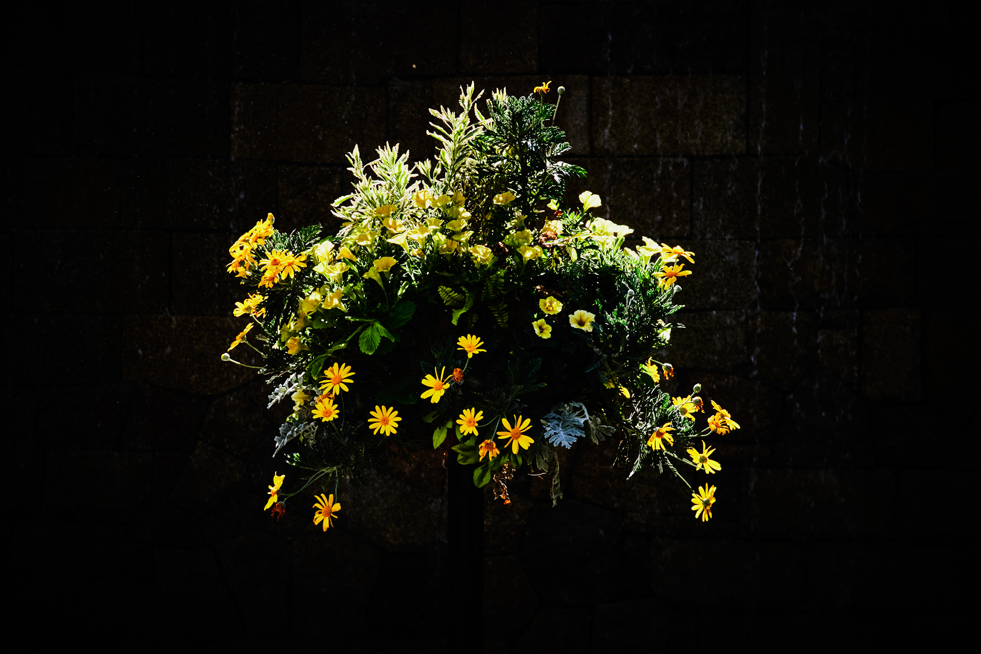 GAZE / 西田 航 | アメリカ橋ギャラリー | 恵比寿駅徒歩5分 | レンタル