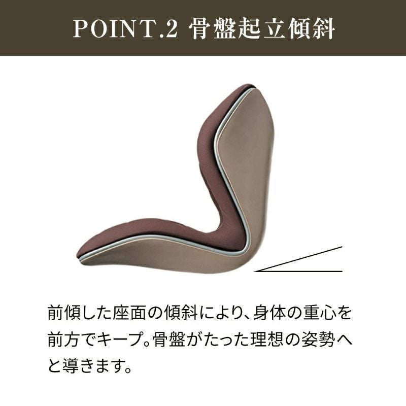 Style（スタイル） スタイルプレミアム ブラウン | Amingオンライン