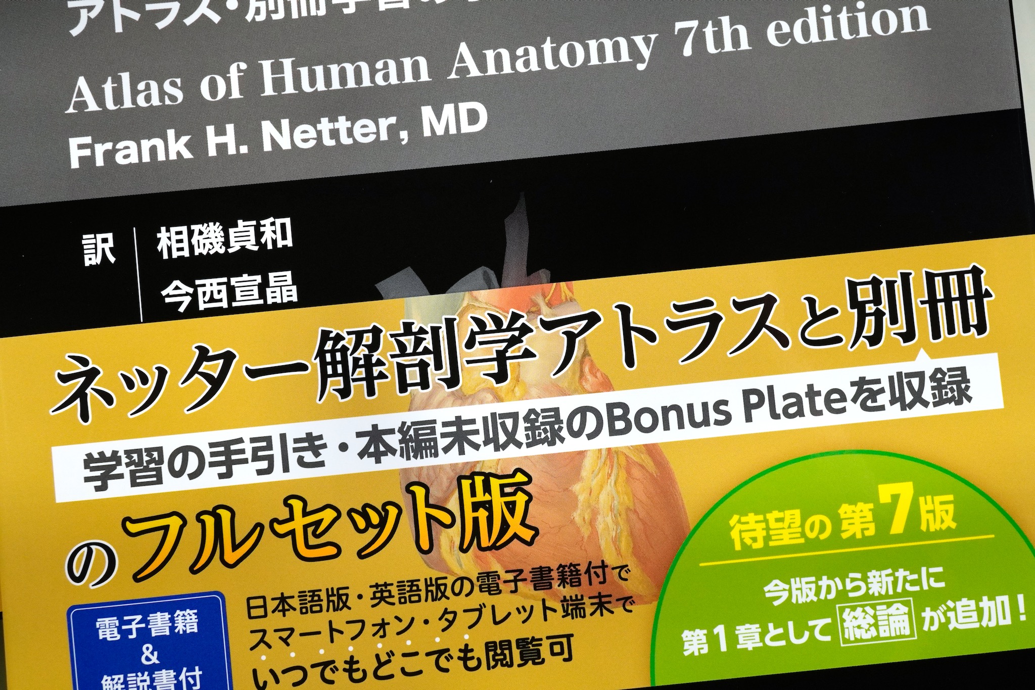 ネッター解剖学アトラス 原著第7版 / Anatomy 今日も明日も/ネッター