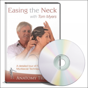 商品 – アナトミー・トレイン日本公式サイト