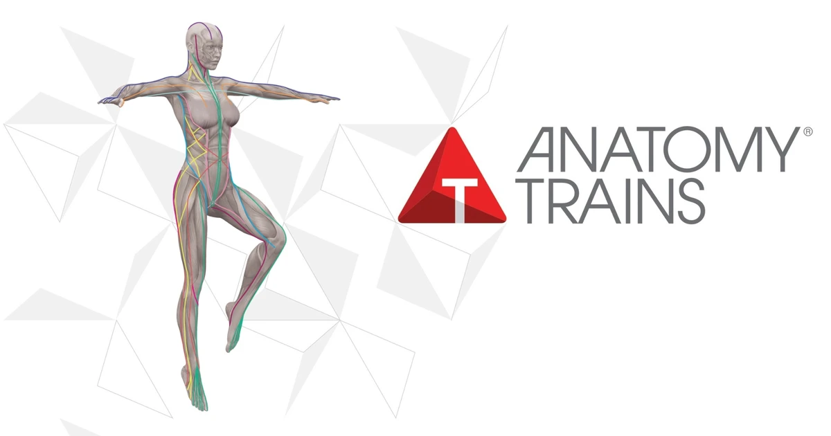 商品 – アナトミー・トレイン日本公式サイト