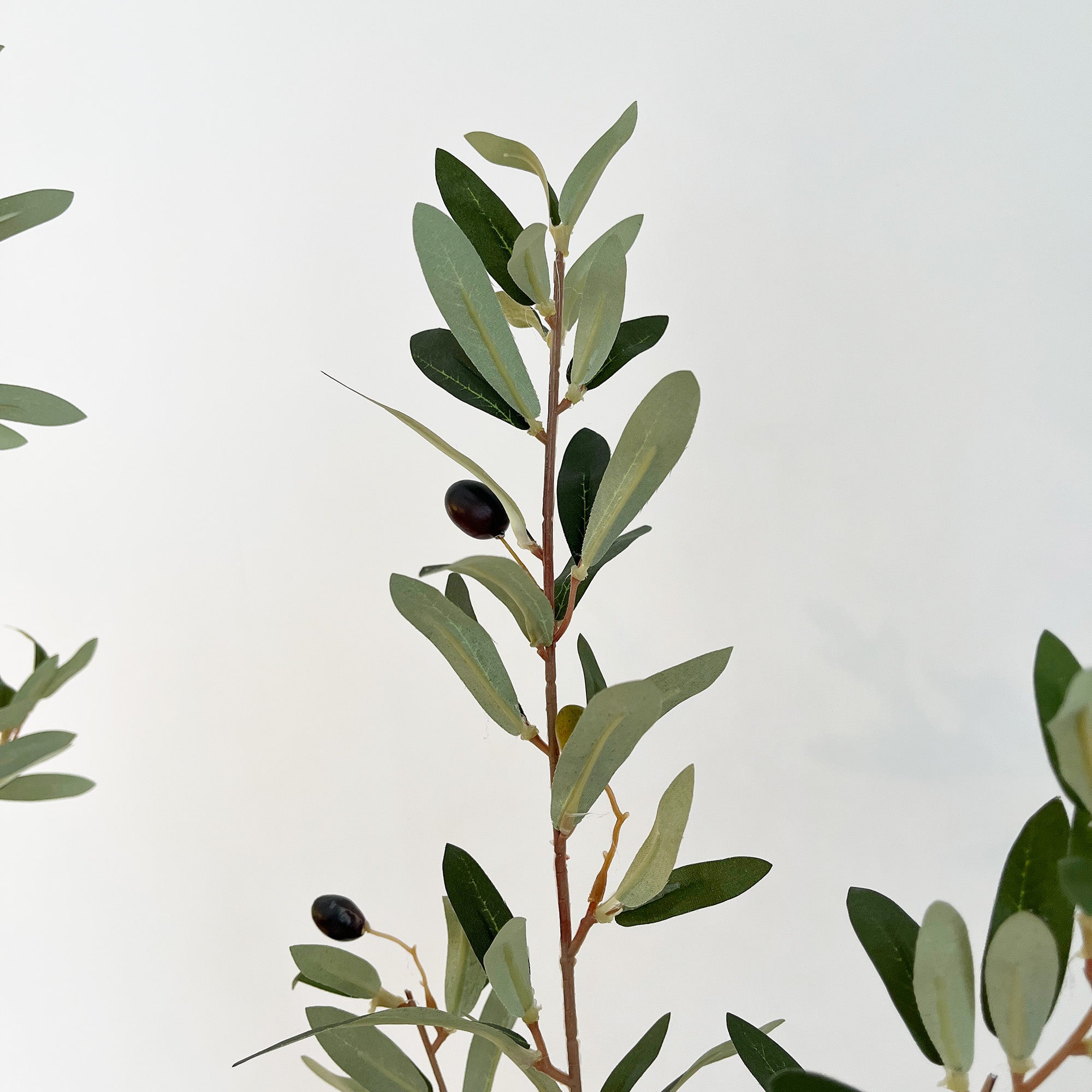 オリーブの木 180cm- フェイクグリーン専用通販サイト – フェイク