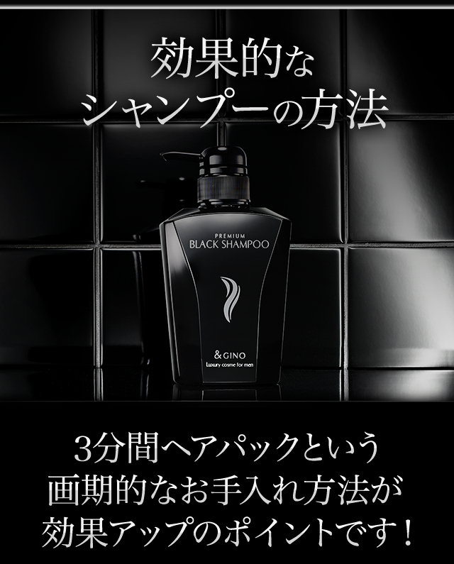 アンドジーノ 【&GINO公式】プレミアムブラックシャンプー