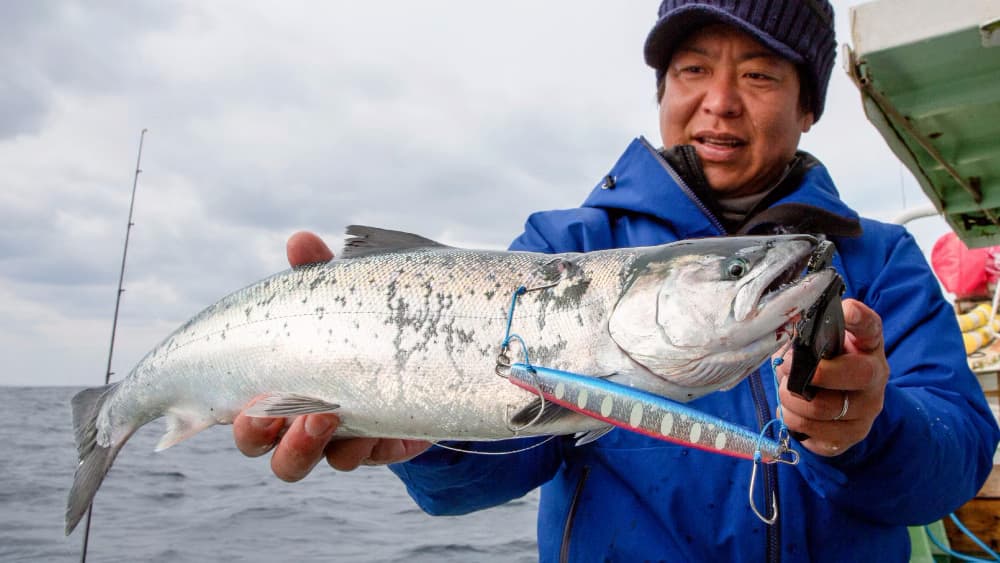 サクラマスジギングにおいてのシマノの追求。サクラスペシャルのカラー