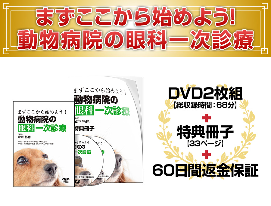 まずここから始めよう！ 動物病院の眼科一次診療 | 株式会社 医療情報