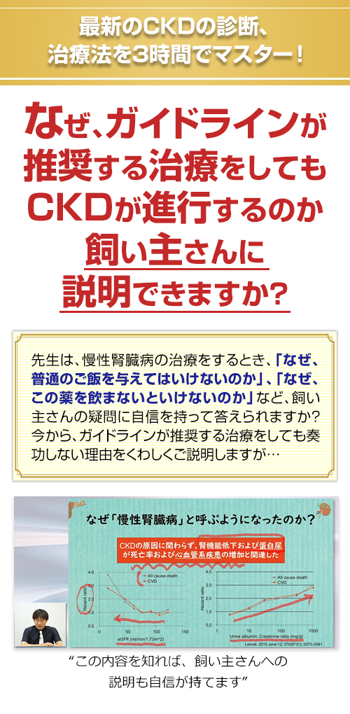 慢性腎臓病の理解を深めよう | 株式会社 医療情報研究所