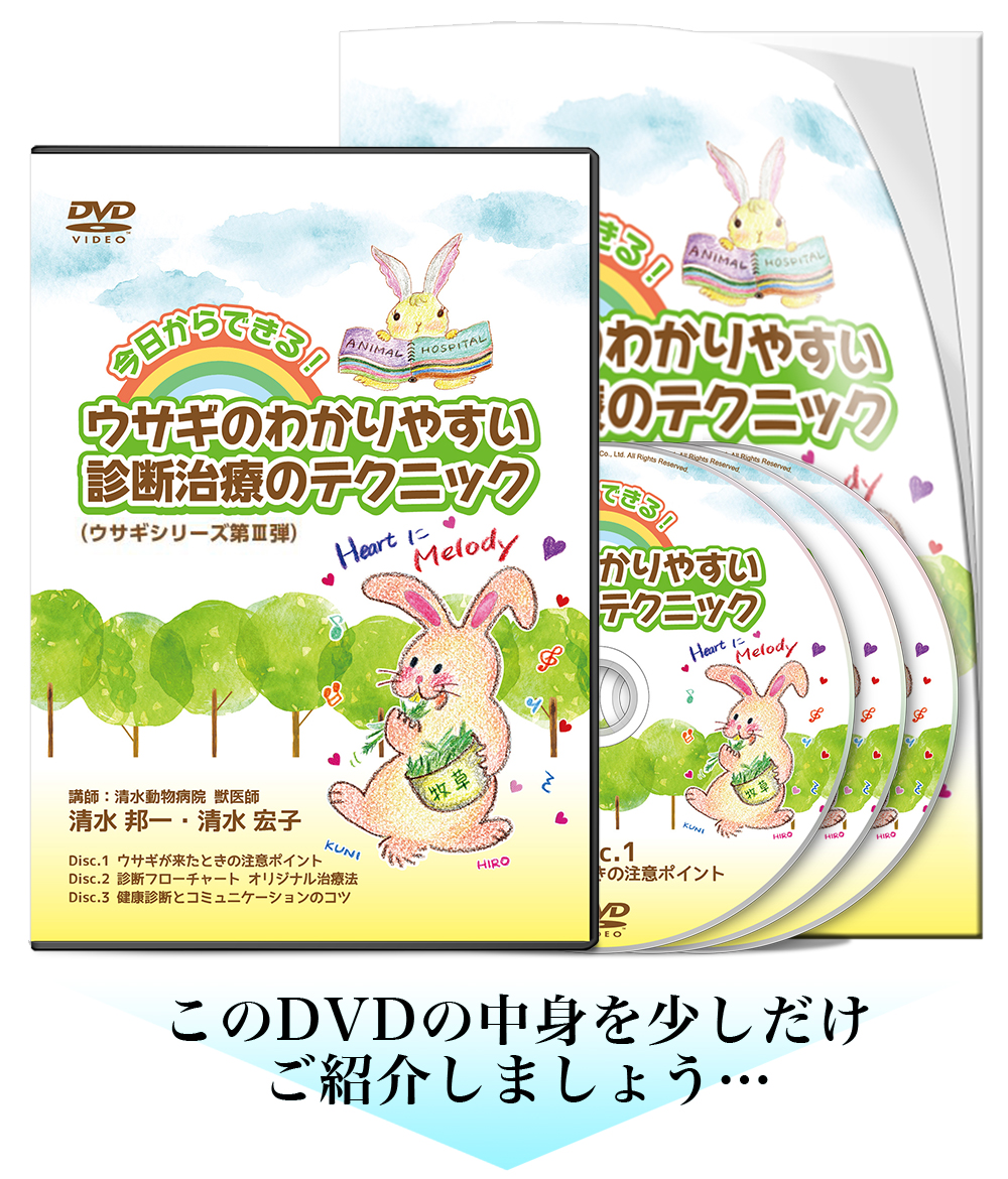 今日からできる！ ウサギのわかりやすい診断治療のテクニック | 株式