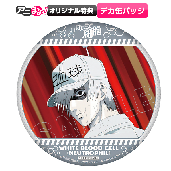 はたらく細胞／Blu-ray／特別編（オリジナル特典付・完全生産限定版