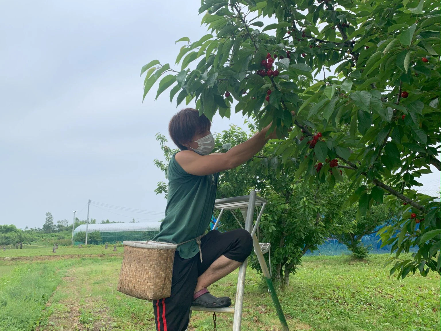 blog-20230707_06.webp?v=