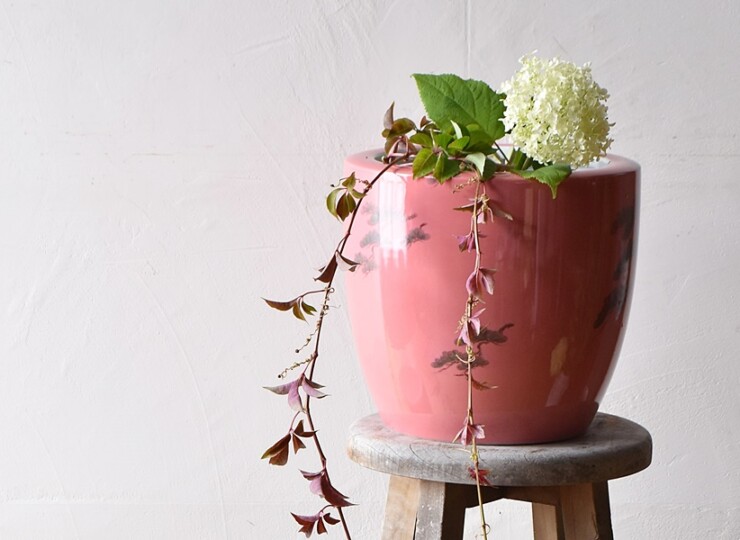 オールドノリタケ サーモンピンクの松の絵 火鉢 日陶 ノリタケ 則武