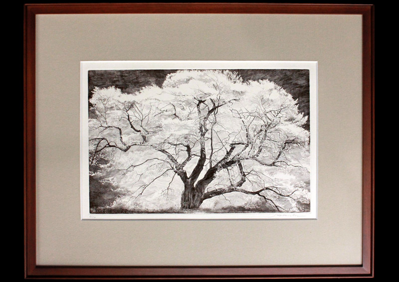 ☆ANTIQUE＊ / アンティーク＊ ◇絵画◇ アンティーク絵画 絵画 年代物