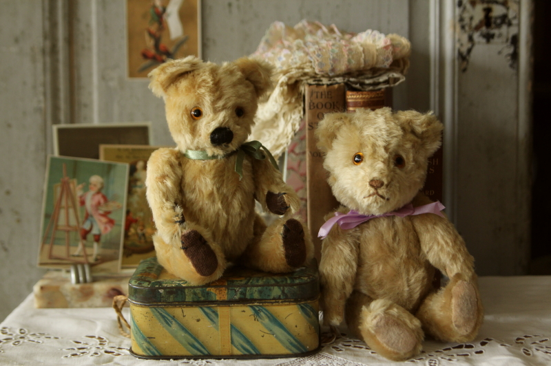 アンティークベア イギリス グラスアイ 20180718 【Antiques Truffle