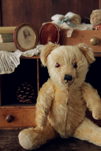 Schucoのミニチュアベア talisman miniature bear シュコー ドイツ